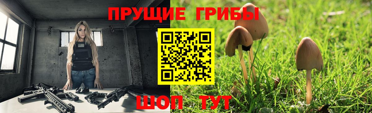 Галлюциногенные грибы Cubensis  Вход с VPN  Пушкино 
